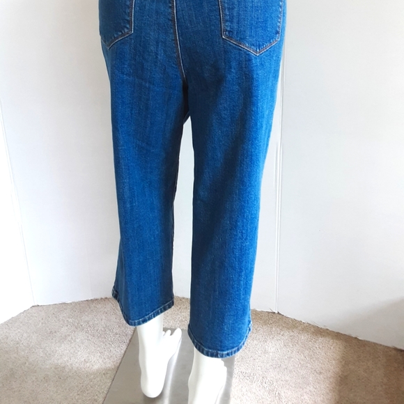 LIZ & CO. DENIM STRETCH HIGH WAIST CAPRI JEANS SZ 16W - Picture 6 of 9
